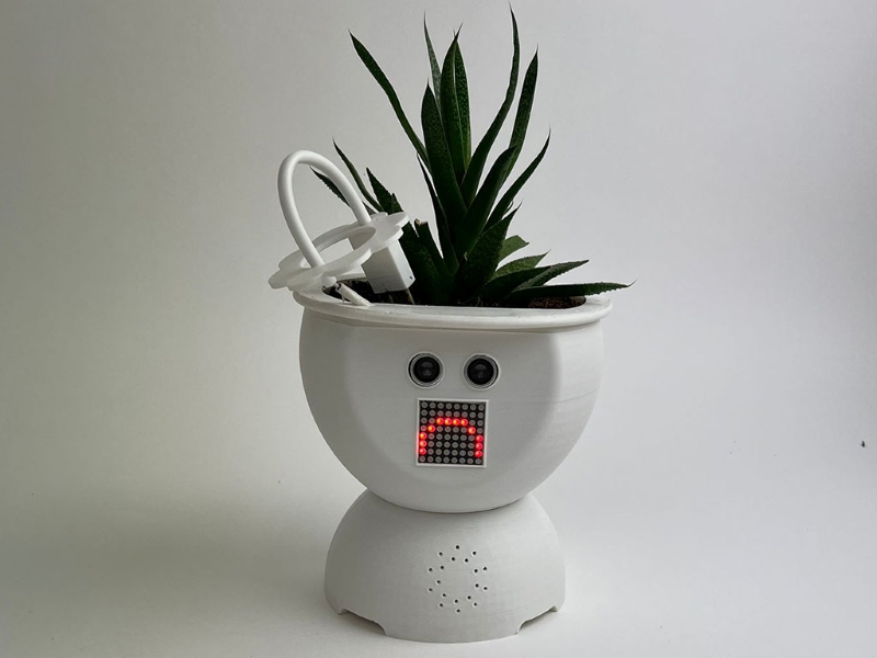 Tal Liran, Anat Weill, Shani Jackson,  Pnina Kupperman and Nitzan Ben Pazi