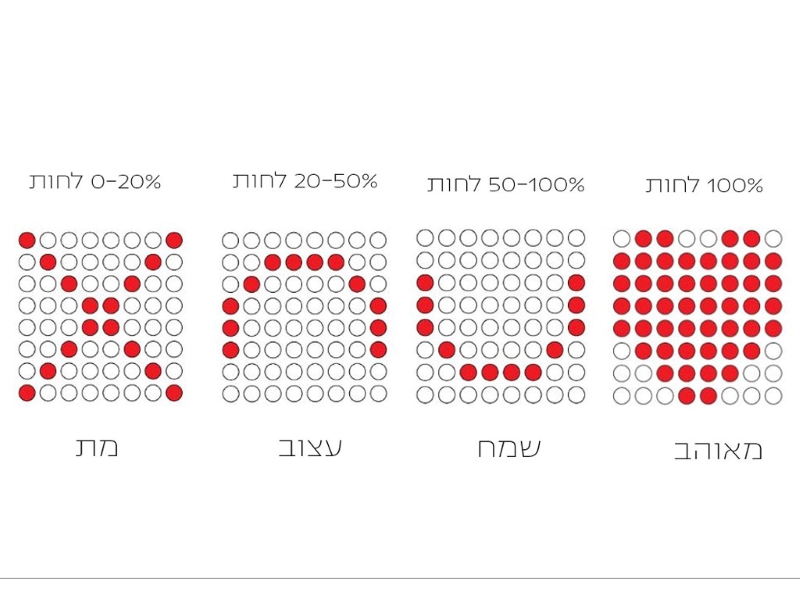 Tal Liran, Anat Weill, Shani Jackson,  Pnina Kupperman and Nitzan Ben Pazi