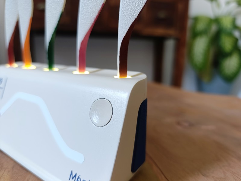 אביגיל בן חמו