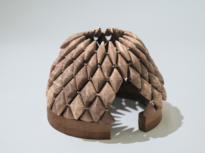 אריאל יעקבי