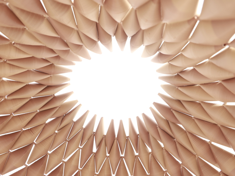 אריאל יעקבי