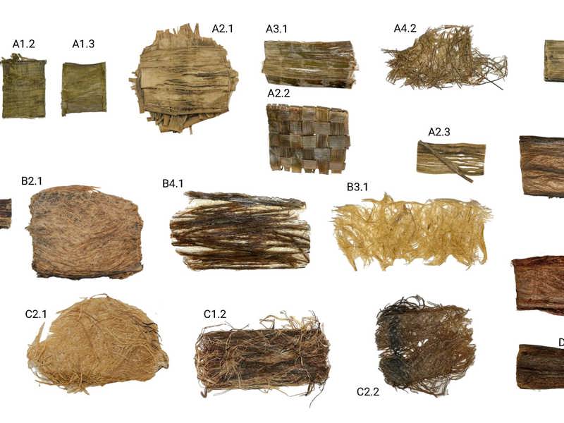 אריאל יעקבי