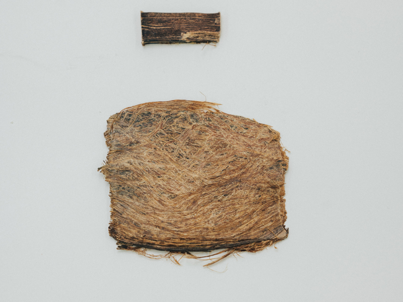 אריאל יעקבי