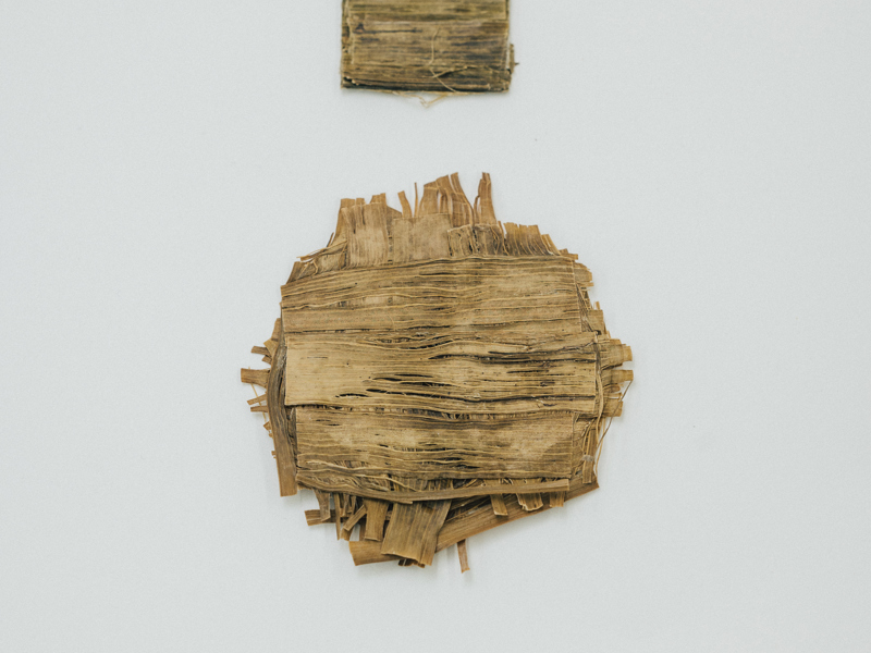 אריאל יעקבי