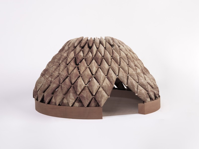 אריאל יעקבי