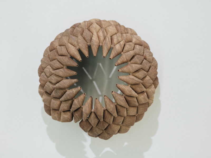 אריאל יעקבי