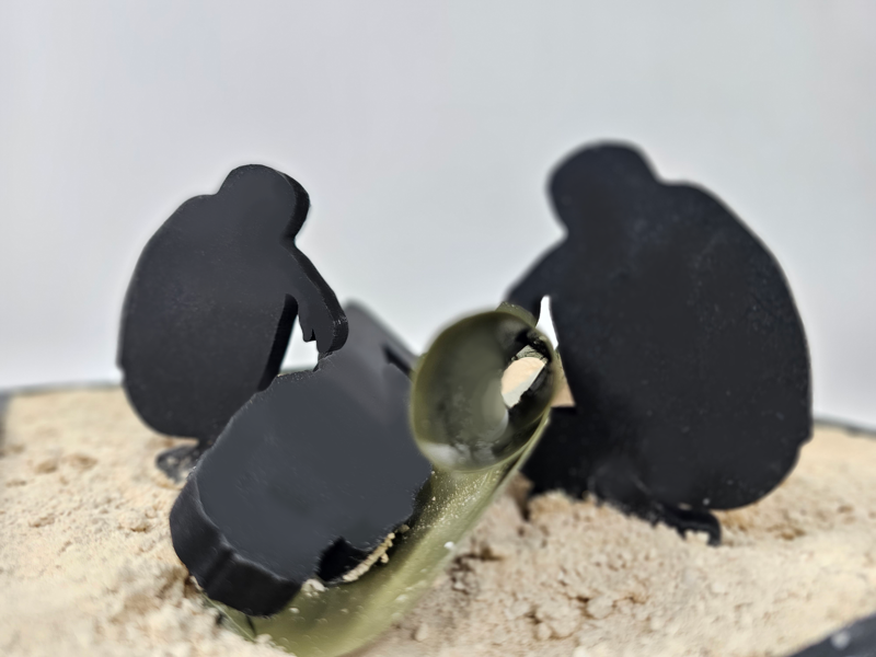 אליסף פרידמן