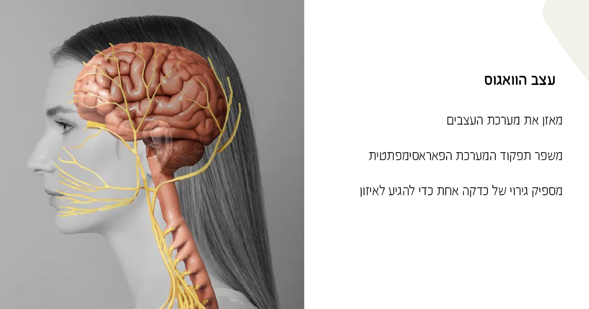 אופיר ספורטס