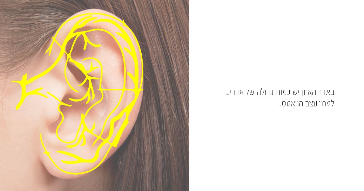 אופיר ספורטס