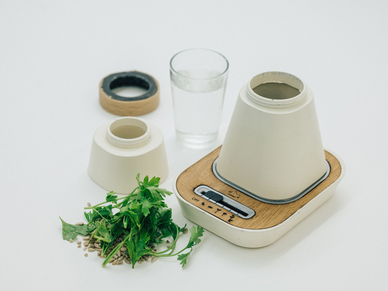 אבי אפשטיין