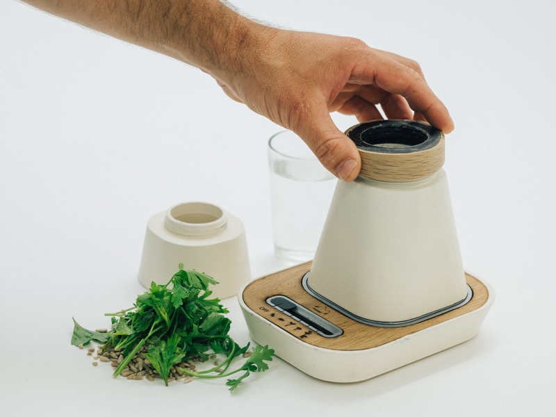 אבי אפשטיין