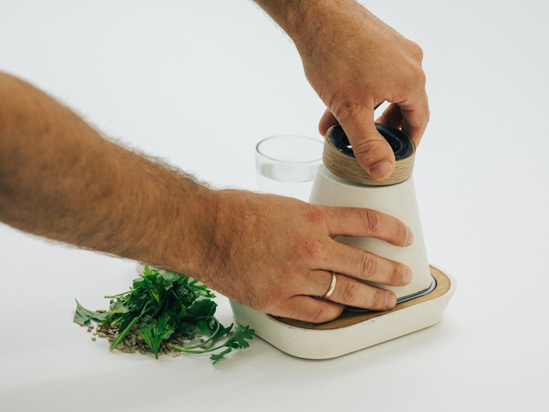 אבי אפשטיין