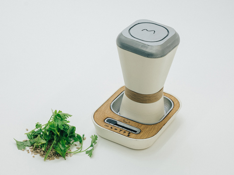 אבי אפשטיין