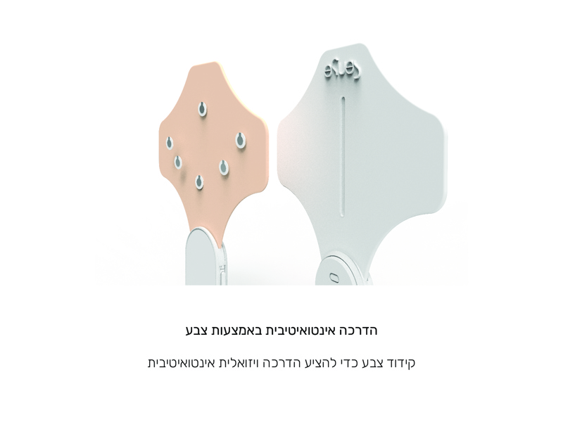 לוג'אין חסן