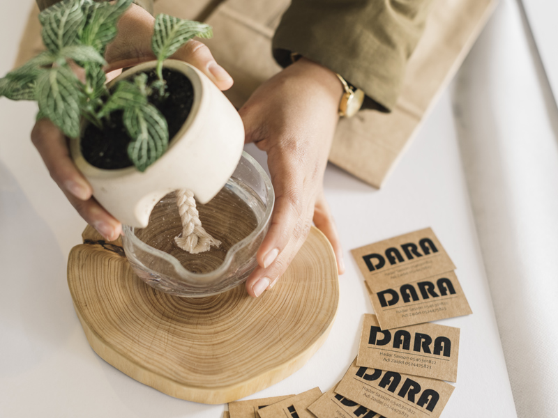 Concrete and glass planter2