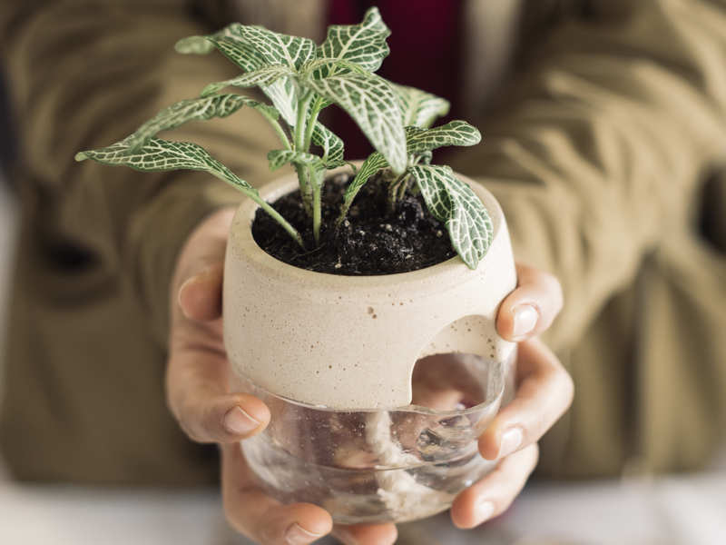 Concrete and glass planter1