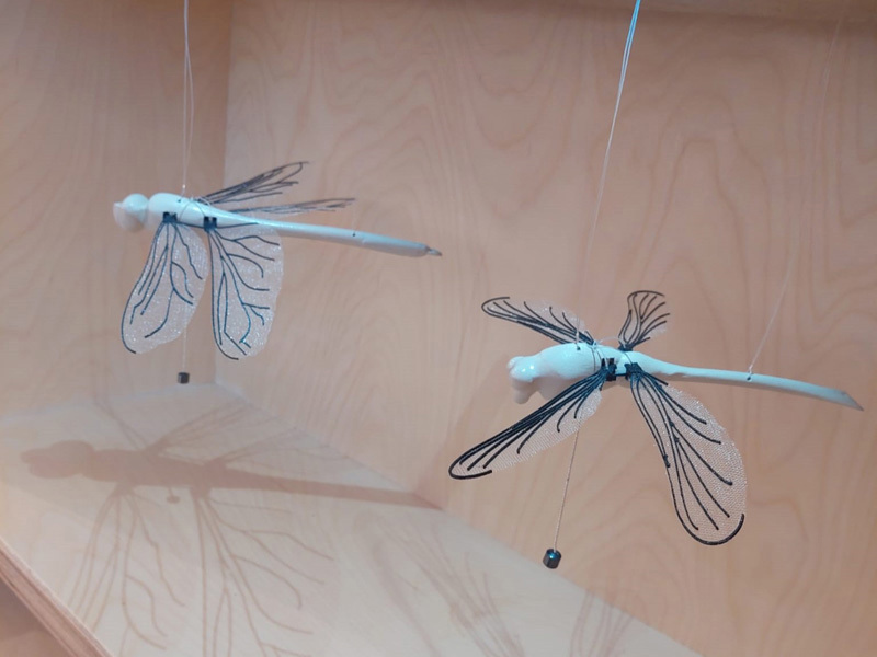 David Tabasky , Shirel Wagensberg