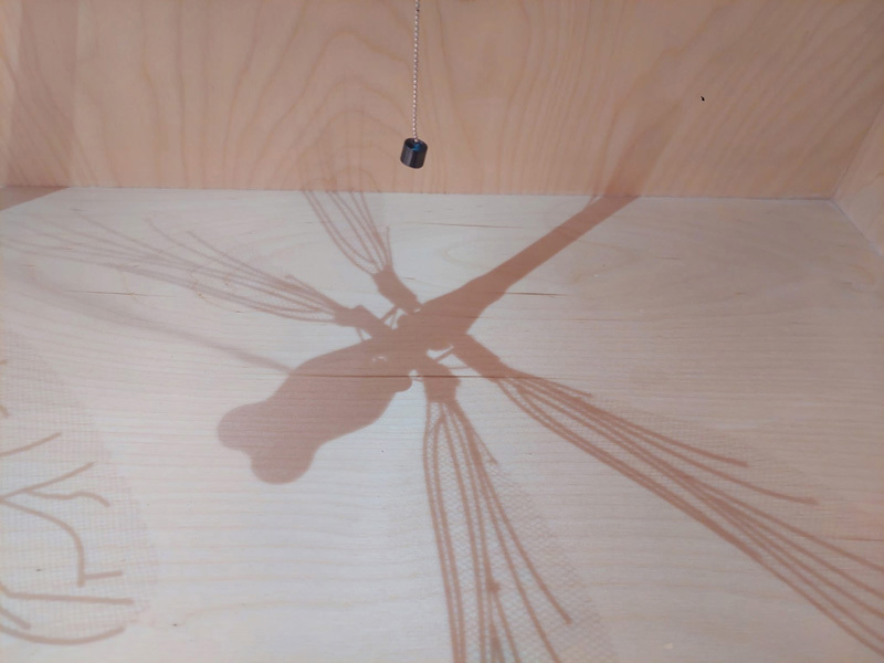 David Tabasky , Shirel Wagensberg