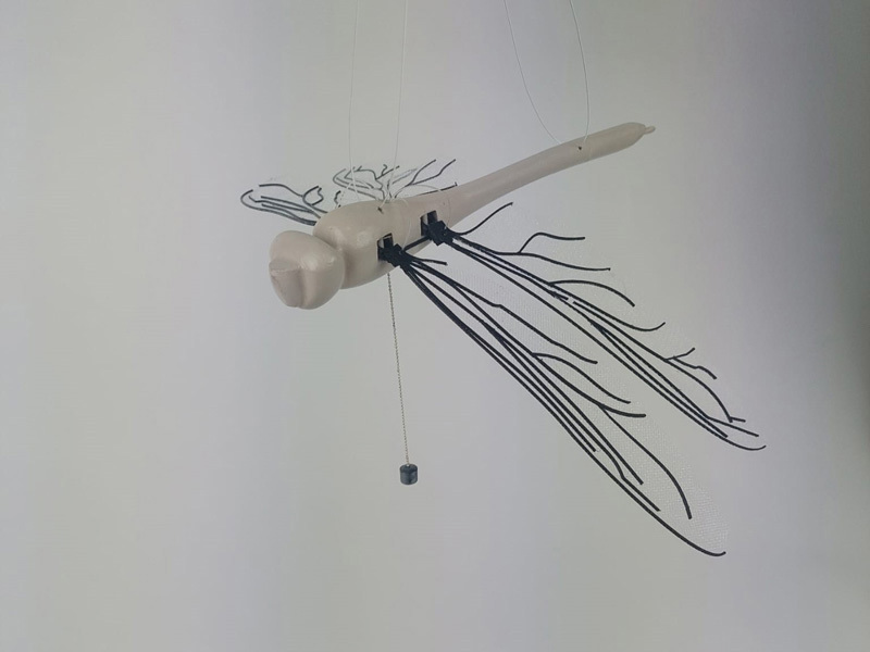 David Tabasky , Shirel Wagensberg