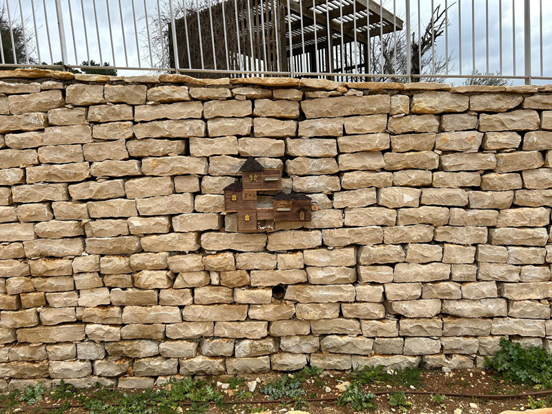 Esther Gaz ,  Shon Bezalel