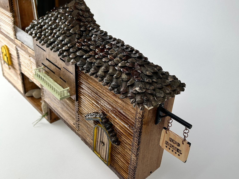 Esther Gaz ,  Shon Bezalel