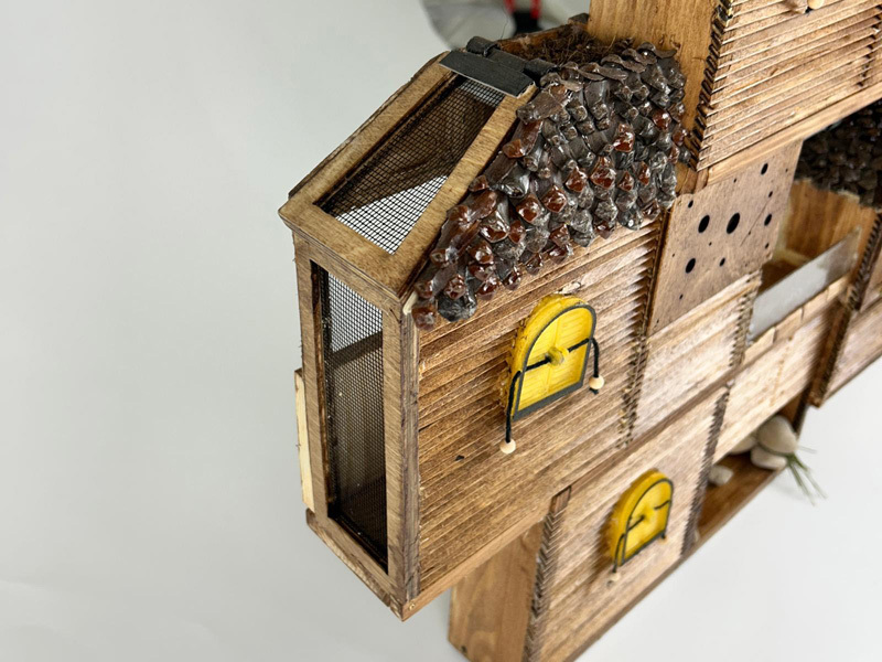 Esther Gaz ,  Shon Bezalel