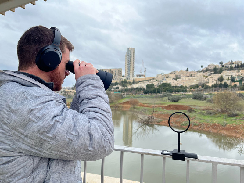 yarden taub , gilad verbov