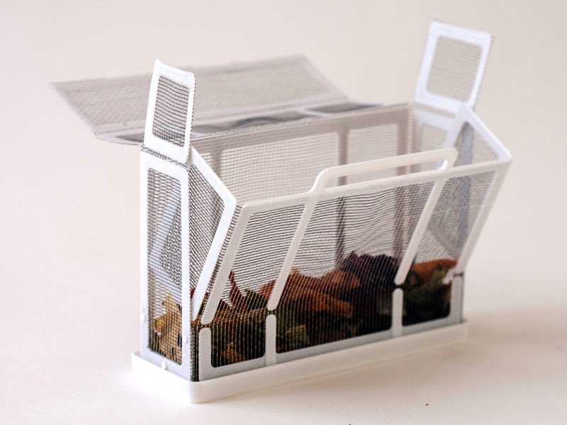 אלינור אטרקצ'י | SECO