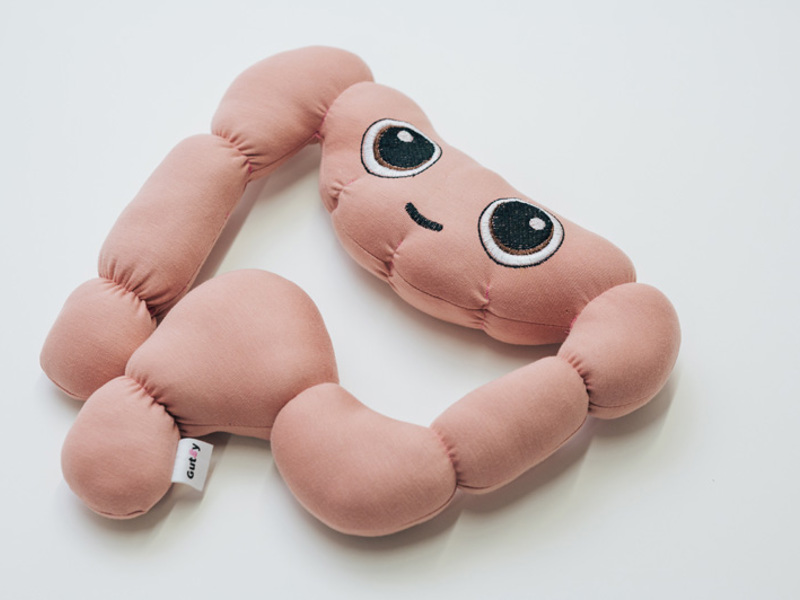 דניאל פלדהמר