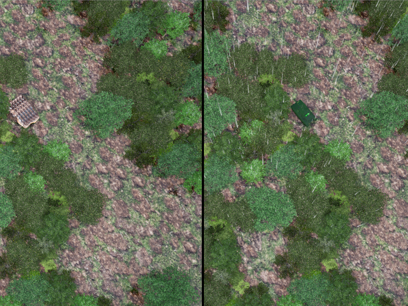 אביחי הרטוג