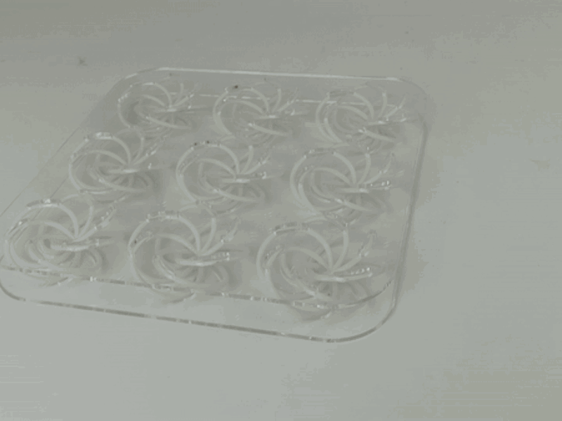 Eliya Ohana - Model gif