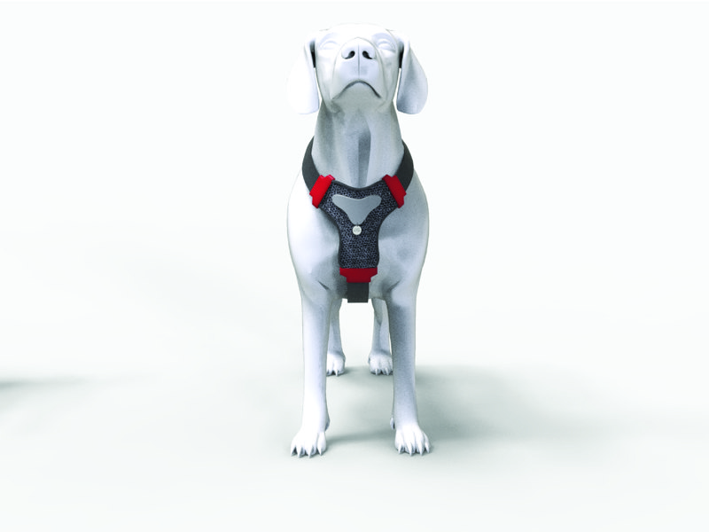 Sapir Rabinowitz- Maman