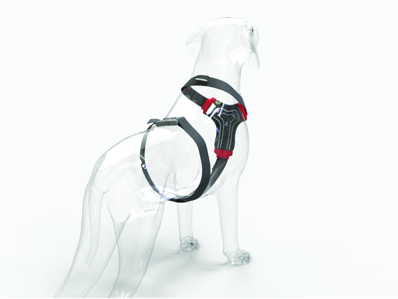 Sapir Rabinowitz- Maman