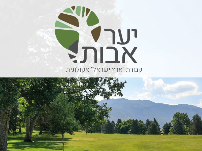 Forest- Ronen and Itai