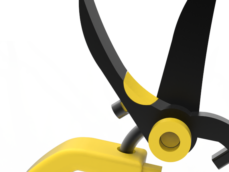 Zalta Dana + moses reut