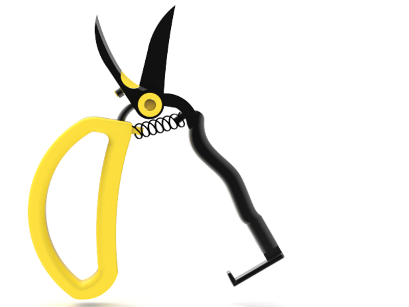 Zalta Dana + moses reut