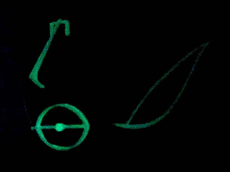 Zalta Dana + Zaguri Adi + Amar Tamar