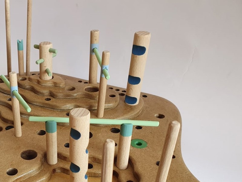 BEN SHALOM RONI + Vagner Tehila + Orman Shayna