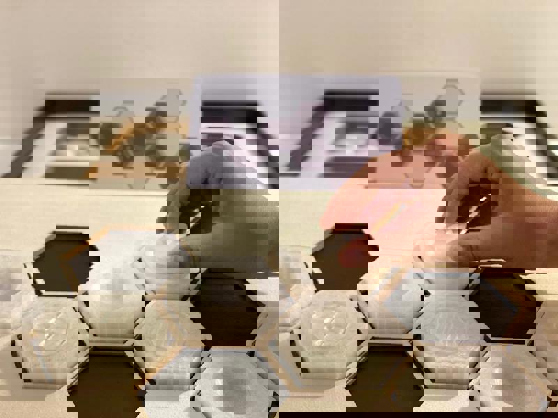 Zaidel Adi + Mandell Pliah + Nachliel Halel + Shpigel Rotem