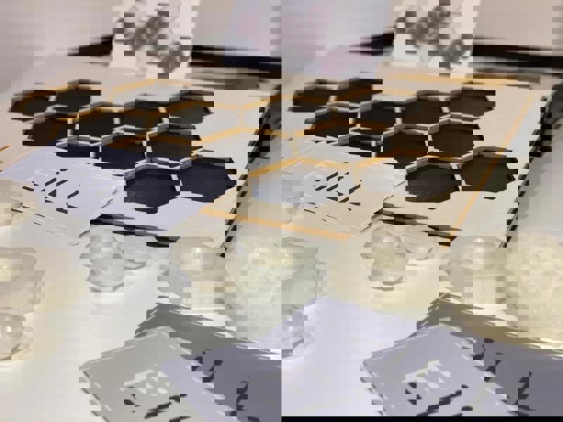 Zaidel Adi + Mandell Pliah + Nachliel Halel + Shpigel Rotem