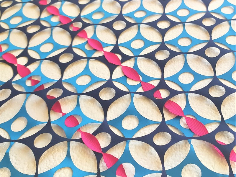 Meitar Lubotzky Yael Wallis Wandel