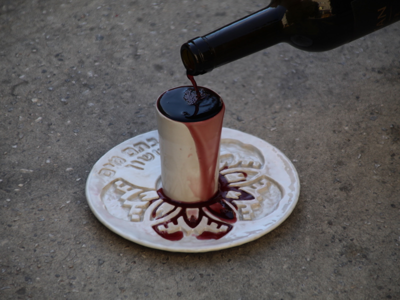 Yuval Samuel Aricha Tehilla Zuriel