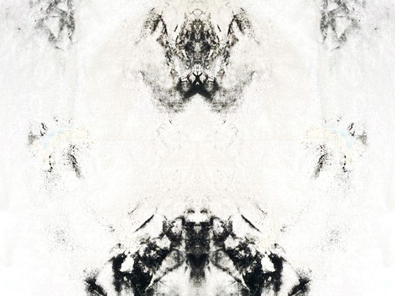 Roni Fadida, Tom Ben Hamo