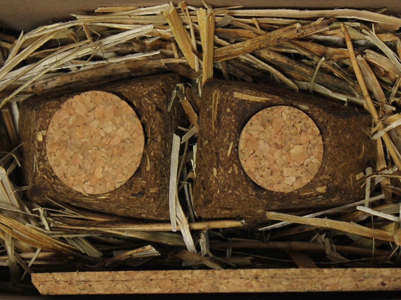 Shaul gan sinkler, Ziv Barlev 