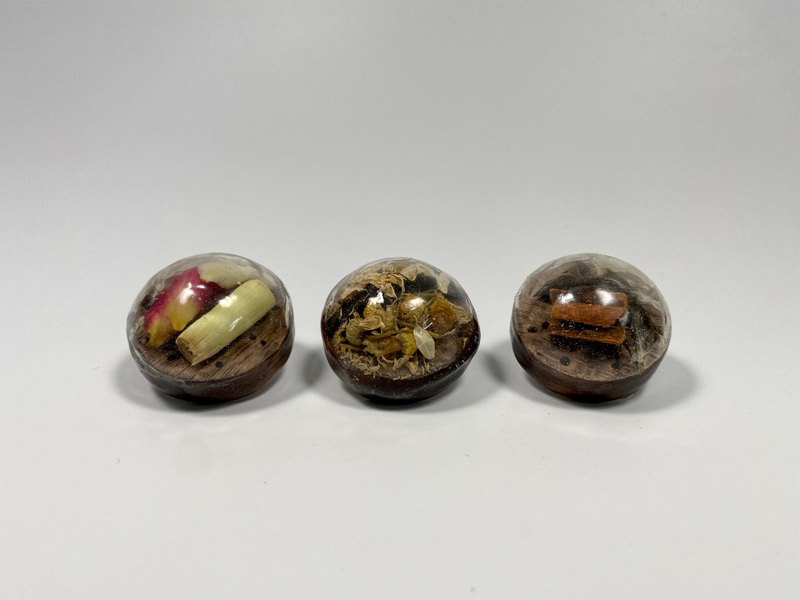 Maya Halevy, Shir Goldshtein