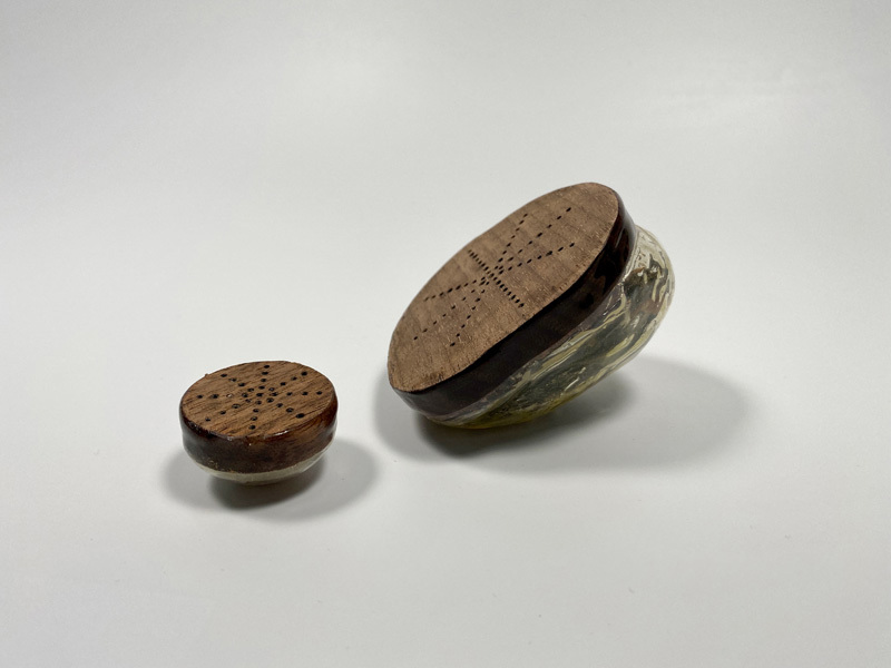 Maya Halevy, Shir Goldshtein