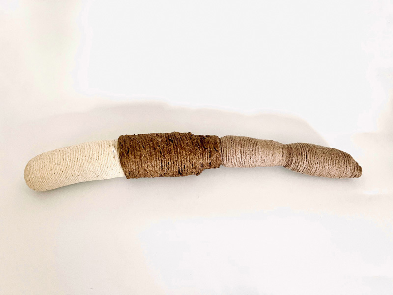 Omer Oster, Noa Cohen