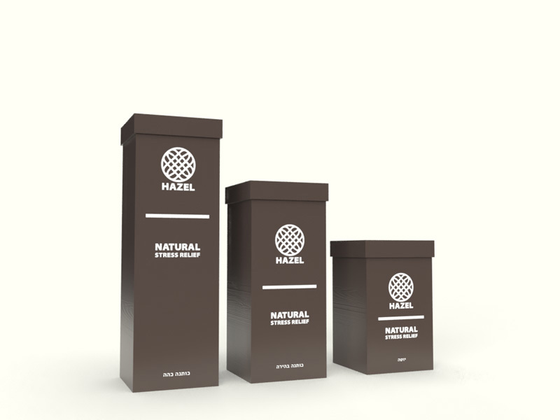 Omer Oster, Noa Cohen