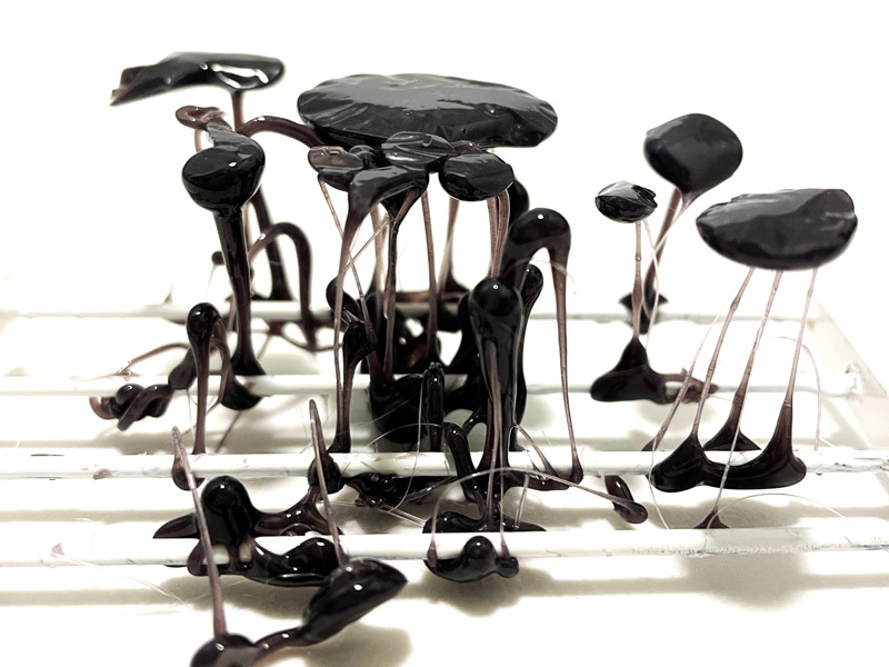 Gal Peled, Adi Stern