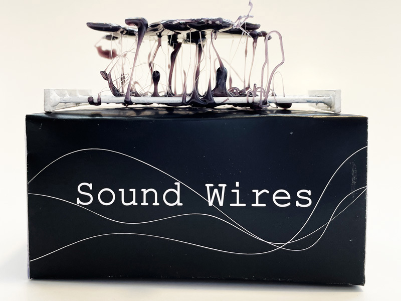 Gal Peled, Adi Stern